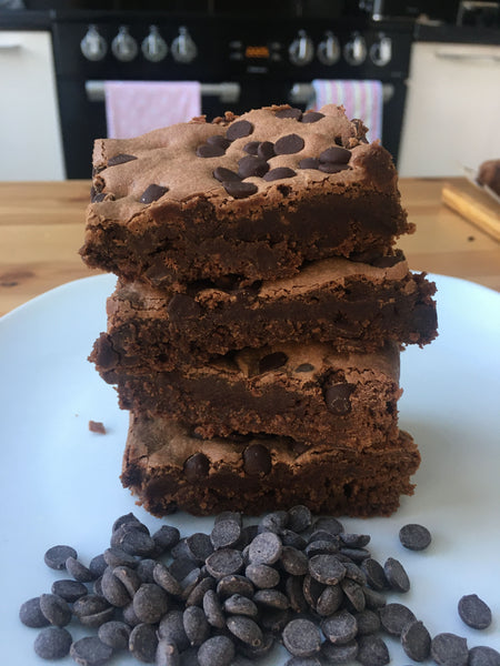 Chocolate Chip Brownie