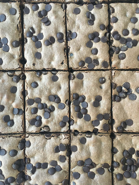 Chocolate Chip Brownie